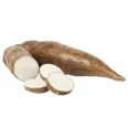 CASSAVA MANIOKAROT KG