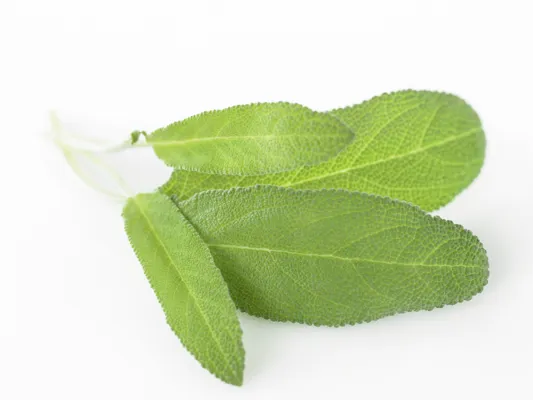 SALVIE 10X100G SALVIE 10X100G