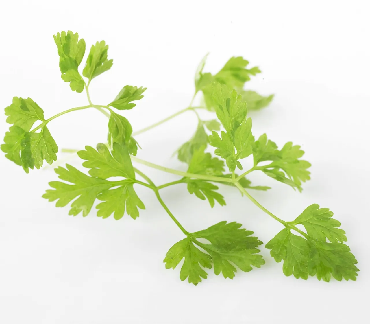 KJØRVEL BUNT IMP 10X100G