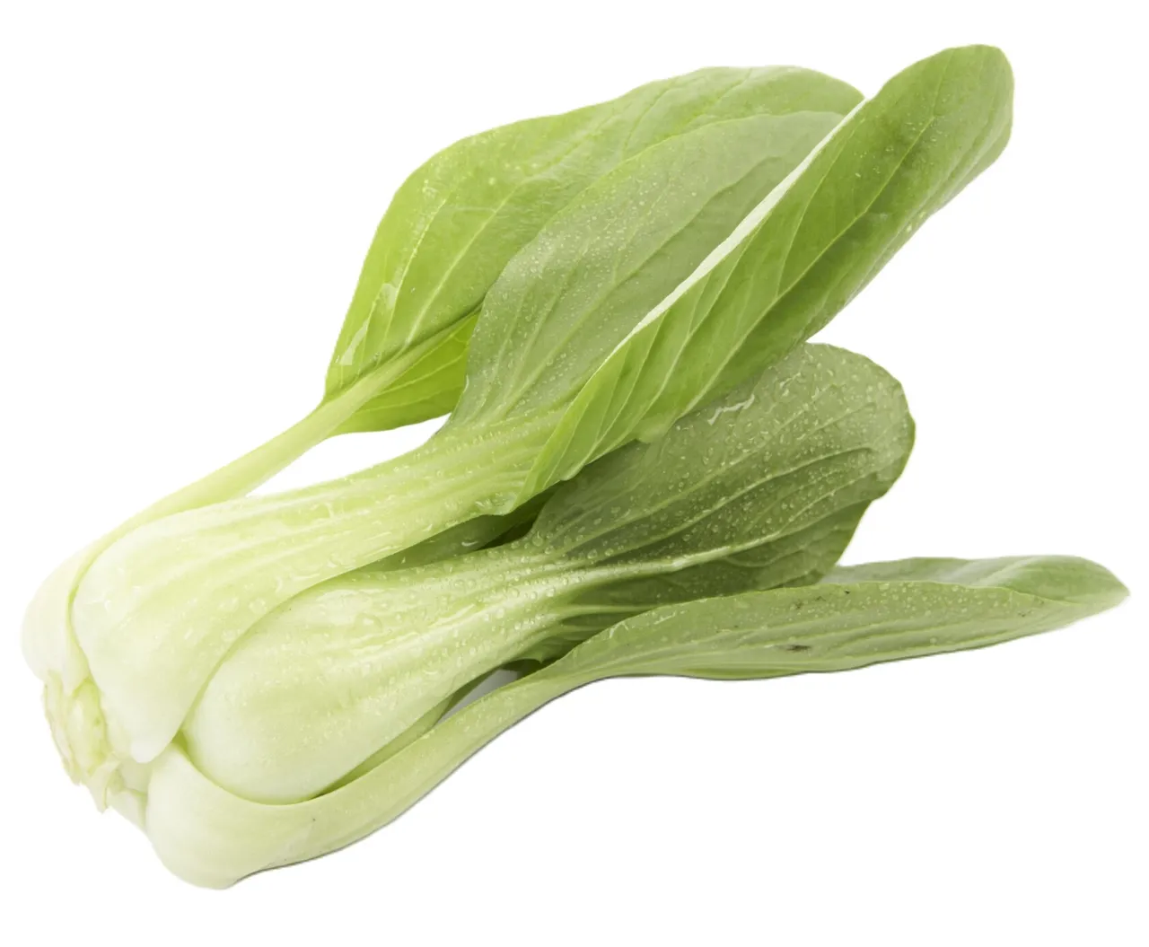 PAK CHOY KG