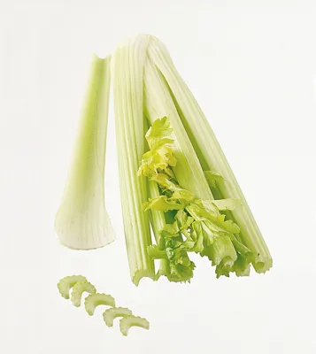 STANGSELLERI KUTTET KG STANGSELLERI KUTTET KG