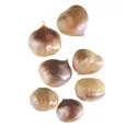 CHESTNUTS SOUS VIDE