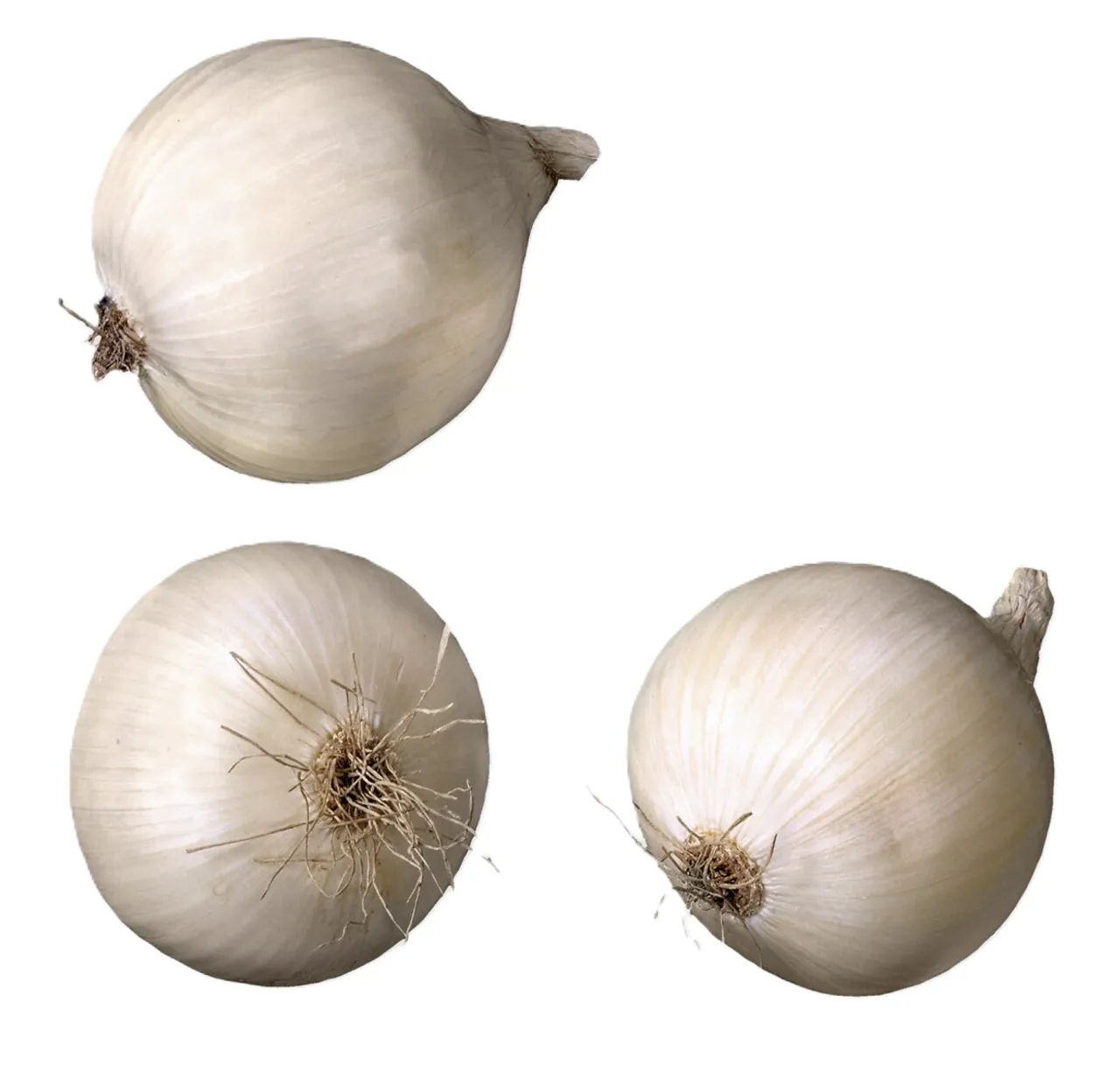LØK SØLV SMÅ KG