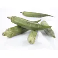 OKRA BØNNER KG