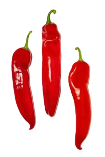 PAPRIKA RØD SPISS ØKO 180G STK PAPRIKA RØD SPISS ØKO 180G STK