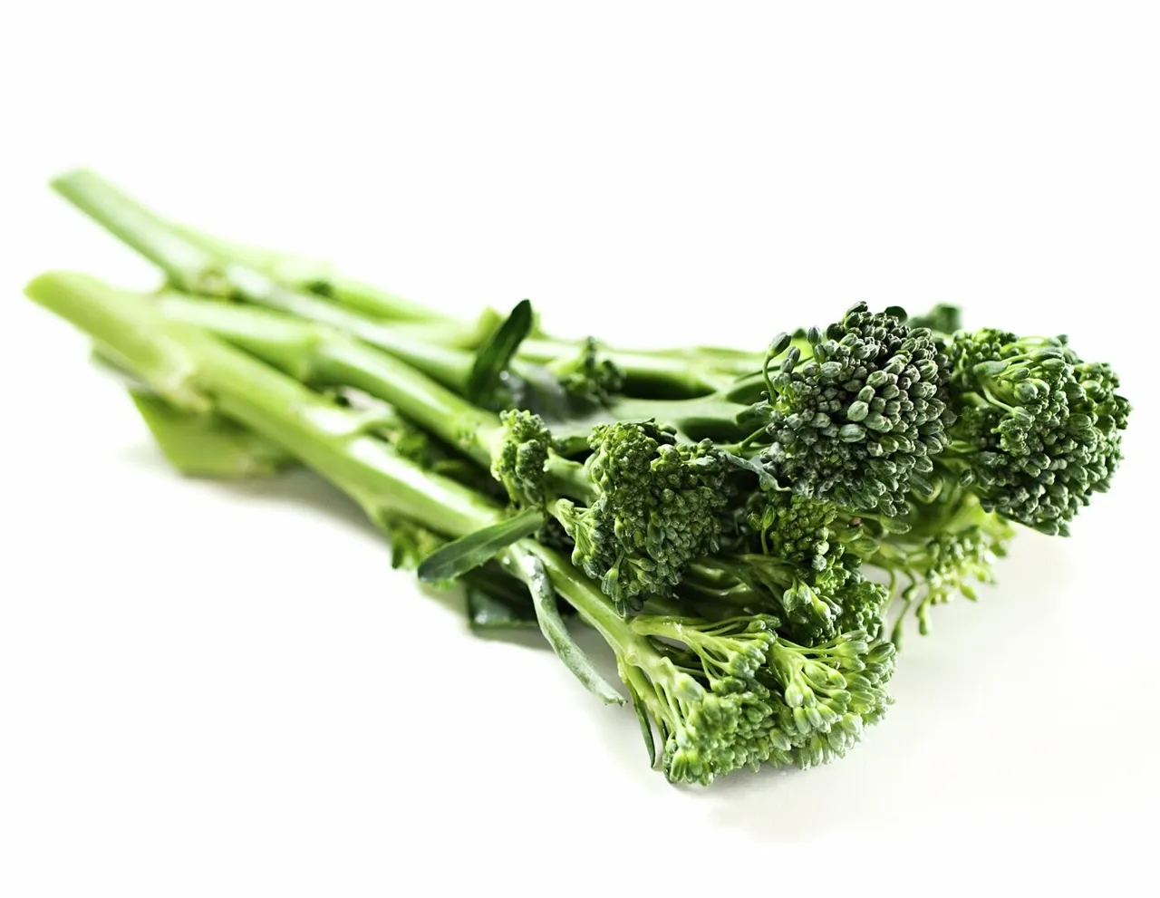 BROKKOLI STILKER 3MM JULIENNE 1KG