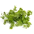 KARSE SALAD PEA 100G