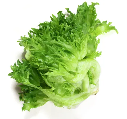 Salat Crispi 500g