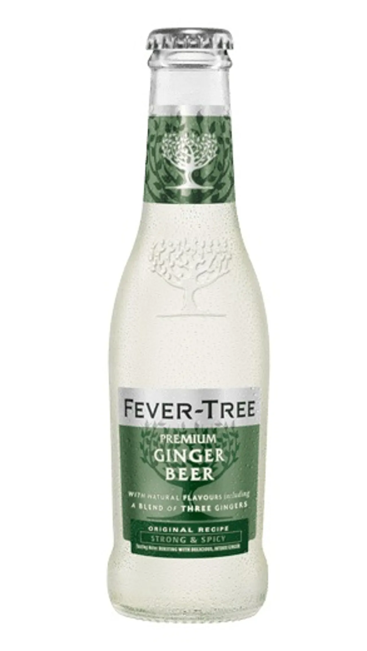 FEVER-TREE GINGER BEER 24X20CL
