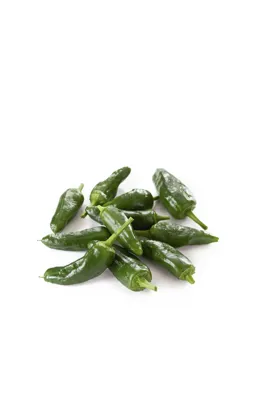 Paprika Padrone Grønn Kg