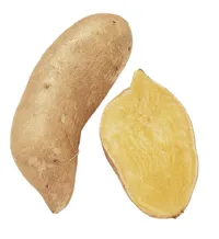 POTETER SØTE TERNING 2,5KG STK