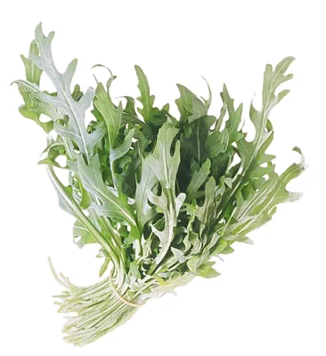 SALAT RUCCOLA VASKET 200G SALAT RUCCOLA VASKET 200G