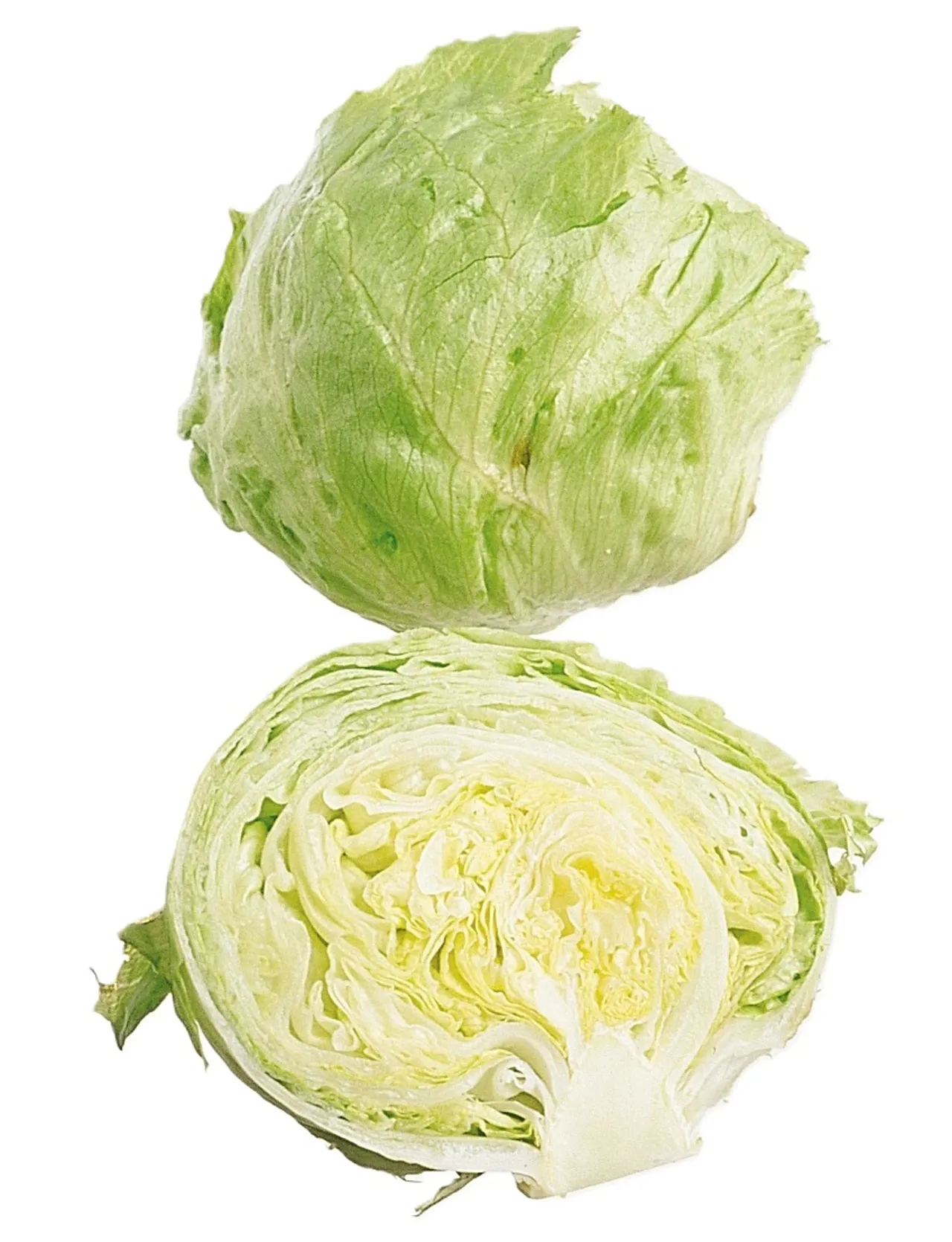 ISBERGSALAT MIKS 1KG STK