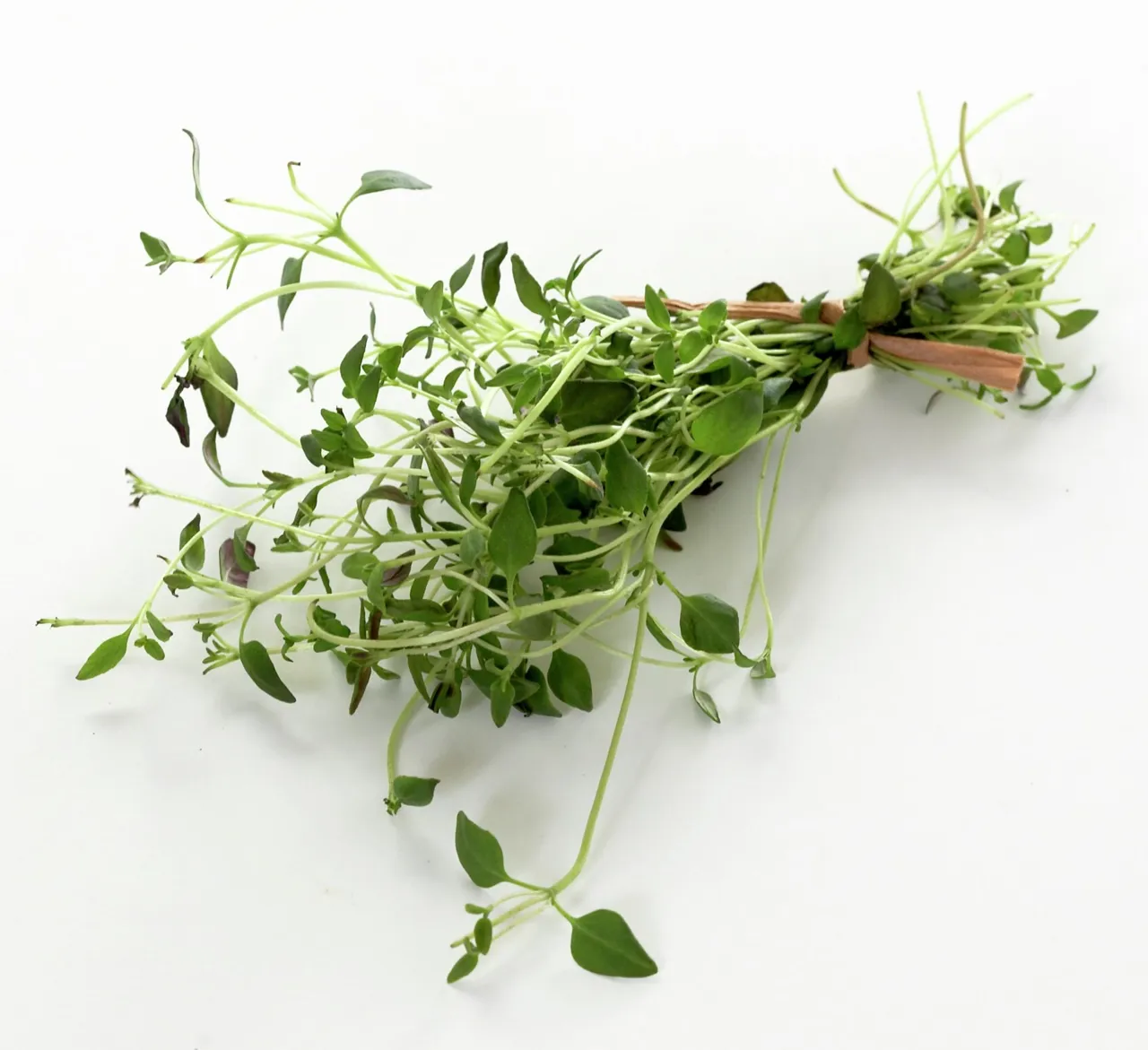 URTER TIMIAN BUNT 100G