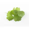 URTER KORIANDER 100G