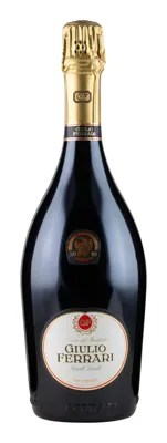 Giulio Ferrari Riserva 2012 12,5% 75cl