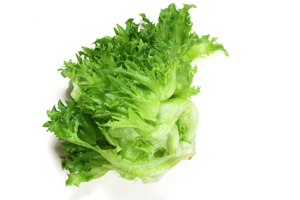 SALAT CRISPI LØSE BLADER 2KG STK