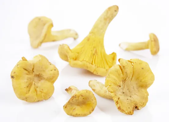 Sopp Kantareller Tørket 100g