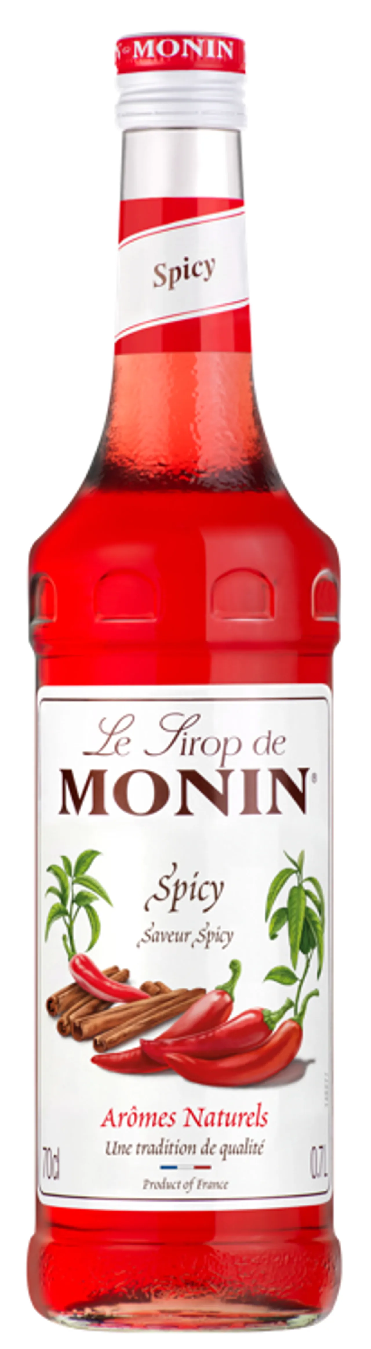 MONIN SPICY SIRUP 70CL