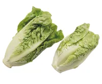 HJERTESALAT MIX 500 GR