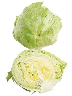 Salat Finkuttet Isberg 6x1kg
