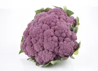 BLOMKÅL RØD/LILLA NORSK STK