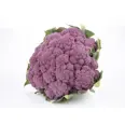 BLOMKÅL RØD/LILLA NORSK STK