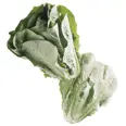 SALAT ROMANO KUTTET PK 0,5KG