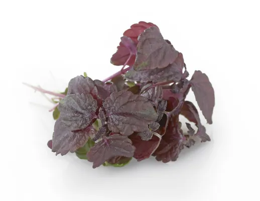 KARSE RØD ROMANTICA 100GR KARSE RØD ROMANTICA 100GR