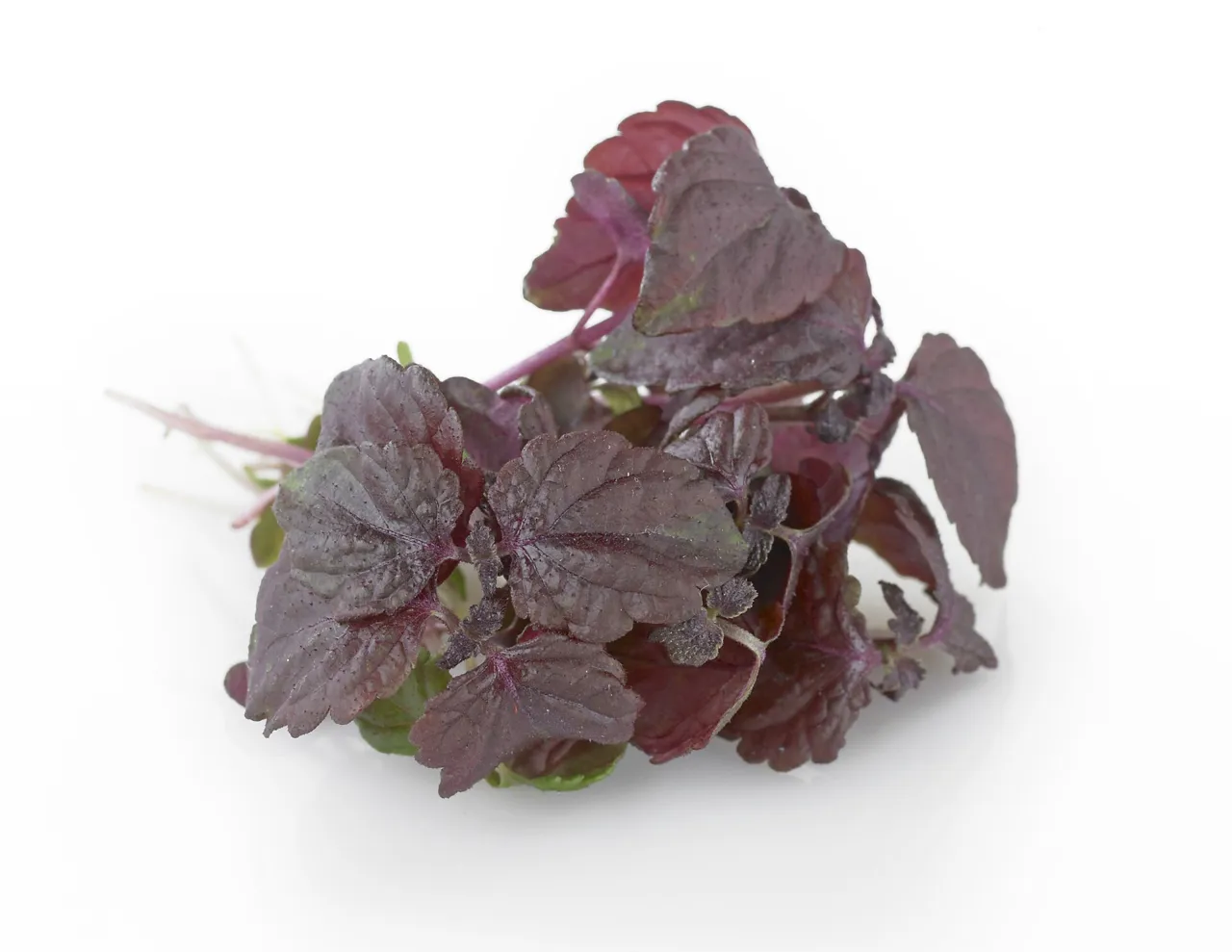 KARSE RØD ROMANTICA 100GR