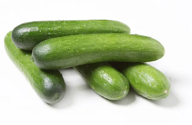 AGURK SNACK/MINI CA 4KG AGURK SNACK/MINI CA 4KG