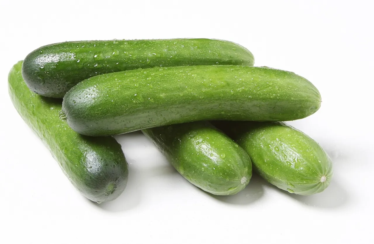 AGURK SNACK/MINI CA 4KG