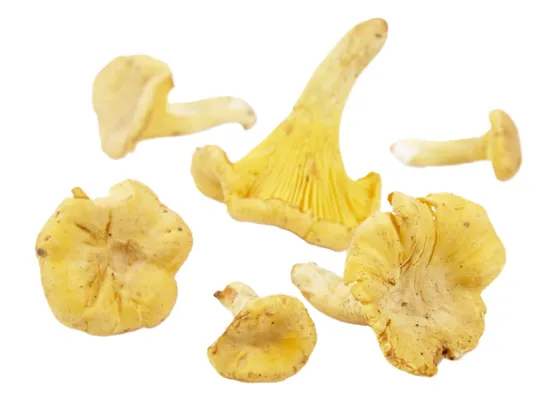 TØRKET KANTARELL PK TØRKET KANTARELL PK