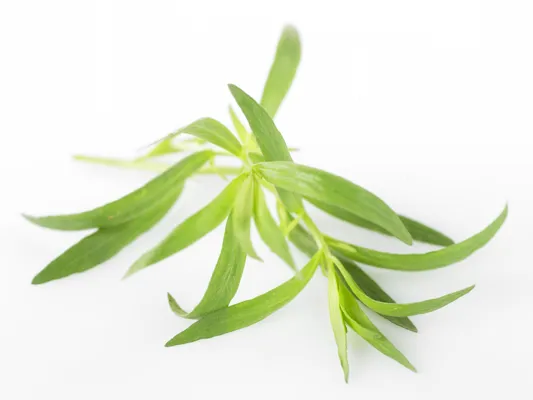 Urter Estragon 100g