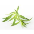 URTER ESTRAGON 100G