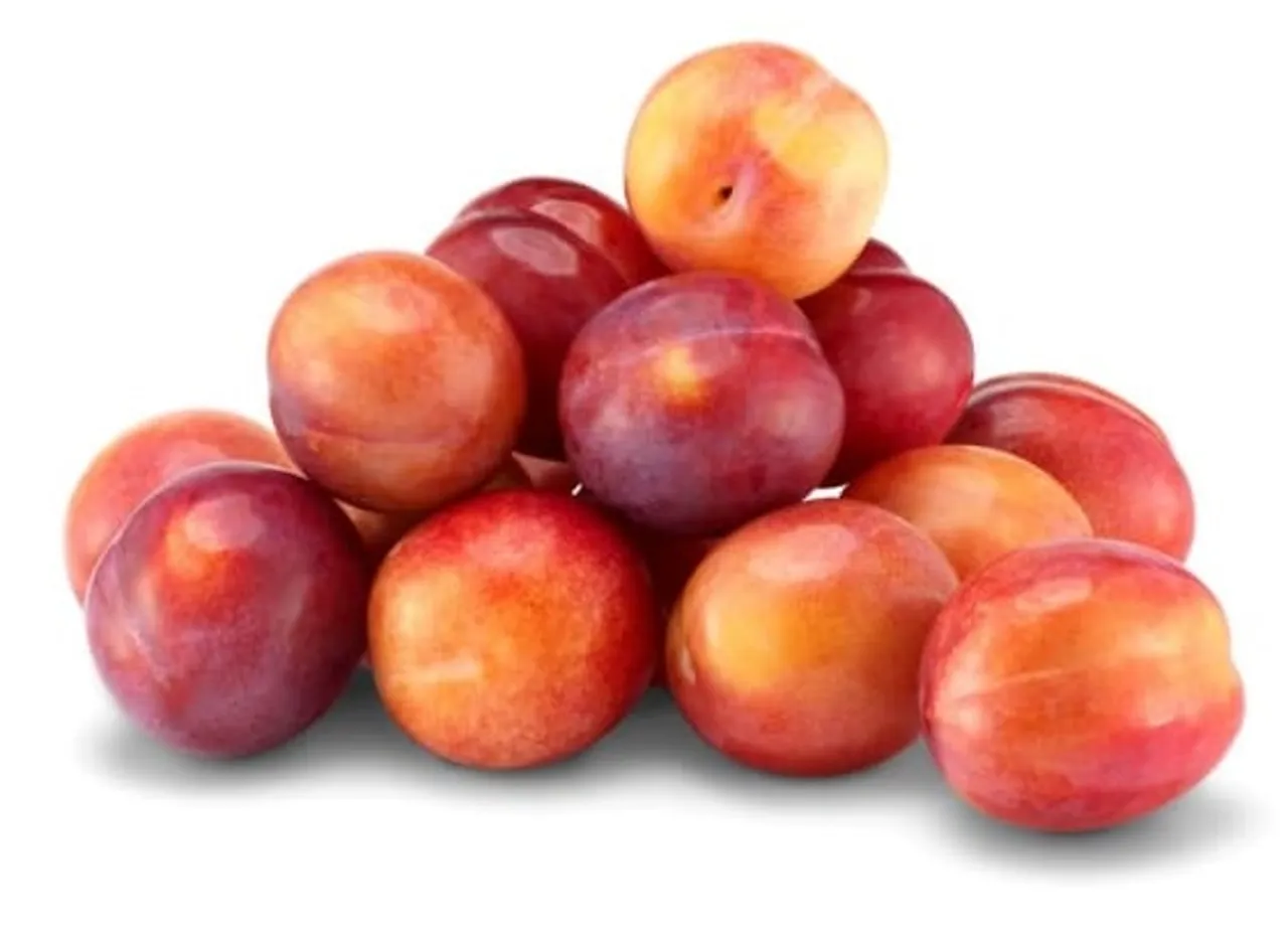 PLOMMER IMP RØD KURV 500G