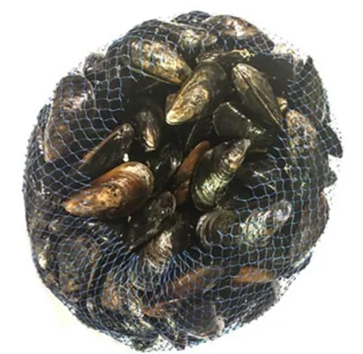 BLÅSKJELL I NETT 1KG BLÅSKJELL I NETT 1KG