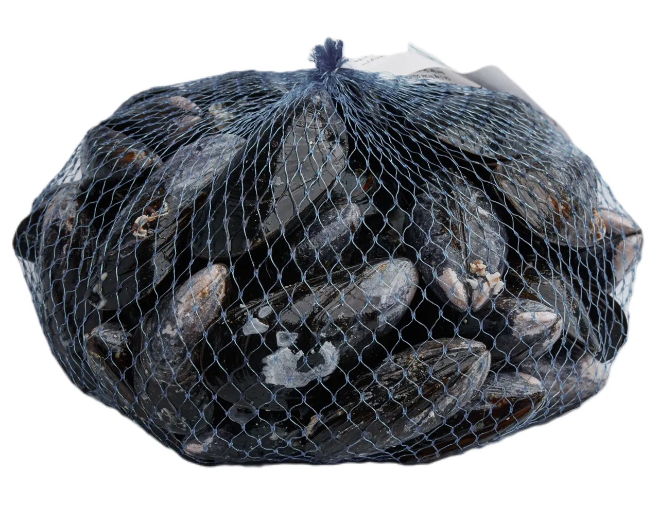 BLÅSKJELL FERSK 1KG NETT