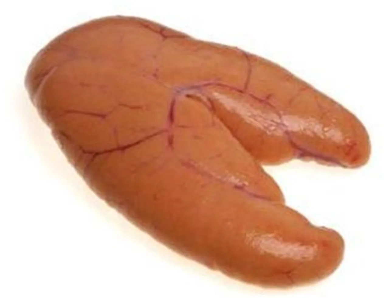 TORSK ROGN FERSK