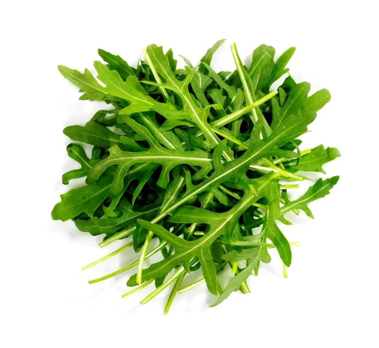 SALAT RUCCOLA VASKET 250G