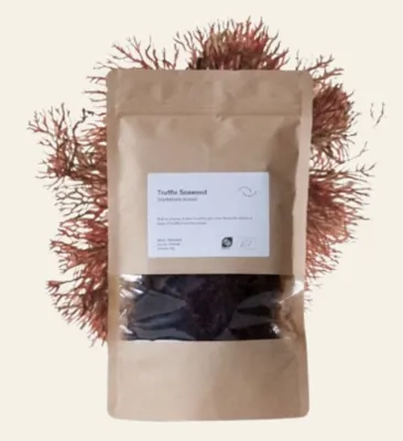 TRØFFELTANG SEAWEED FLAKES 500GR TRØFFELTANG SEAWEED FLAKES 500GR