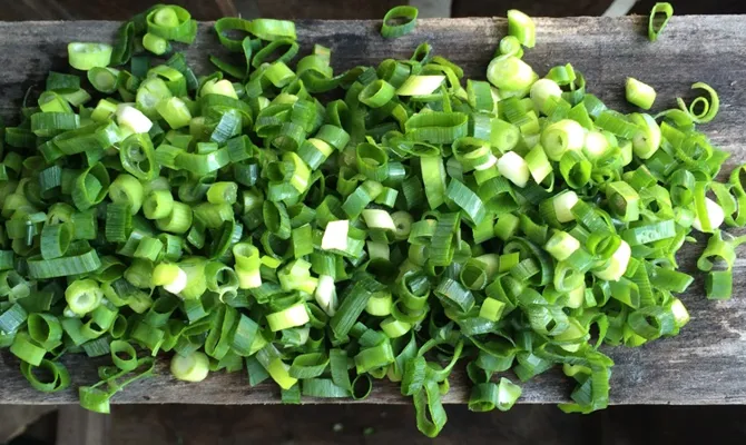 KUTTET VÅRLØK 1KG FRESH CUT KUTTET VÅRLØK 1KG FRESH CUT