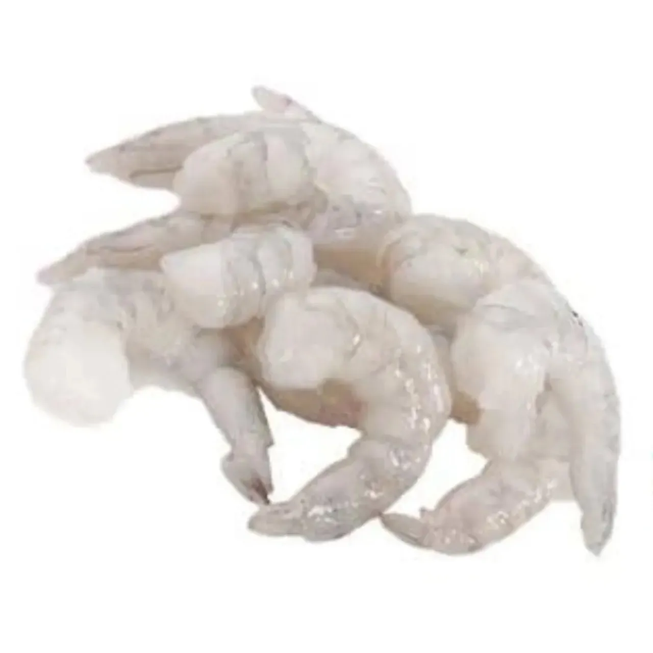 SCAMPI 16/20 PD U/SKALL U/HALE 1KG