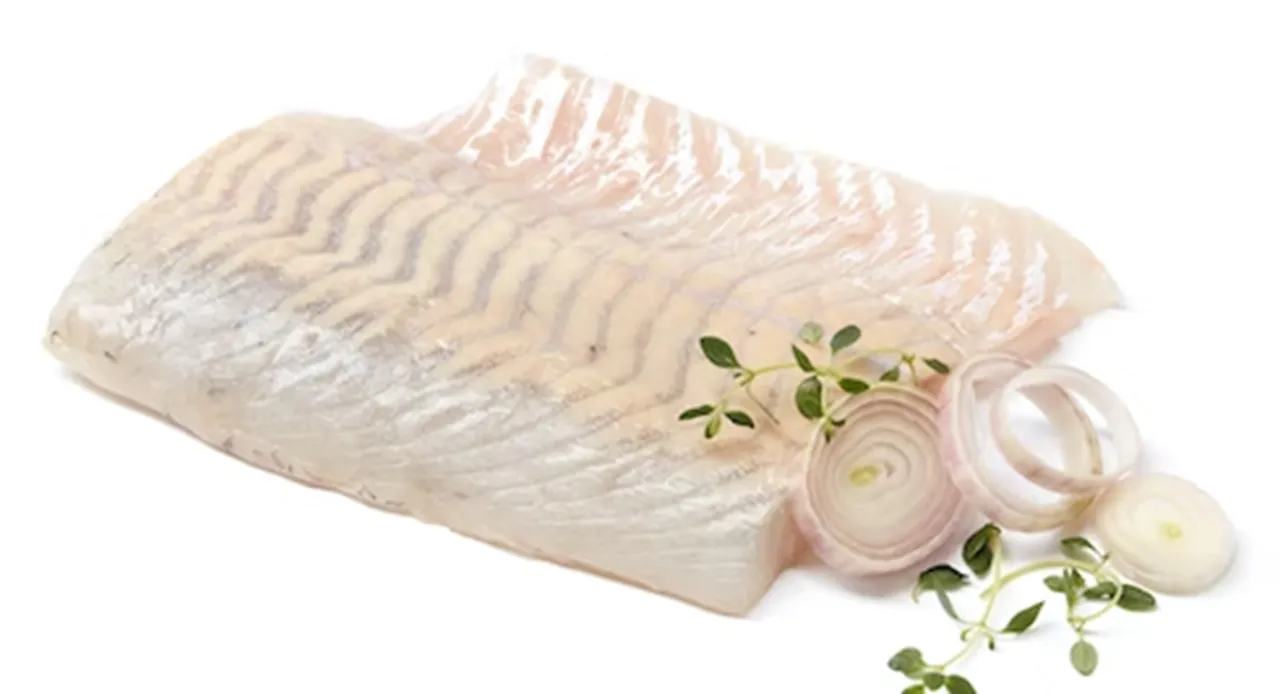 SEI FILET U/SKINN 3KG FERSK KG