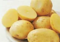 JÆRPOTET SMÅ 35-42MM