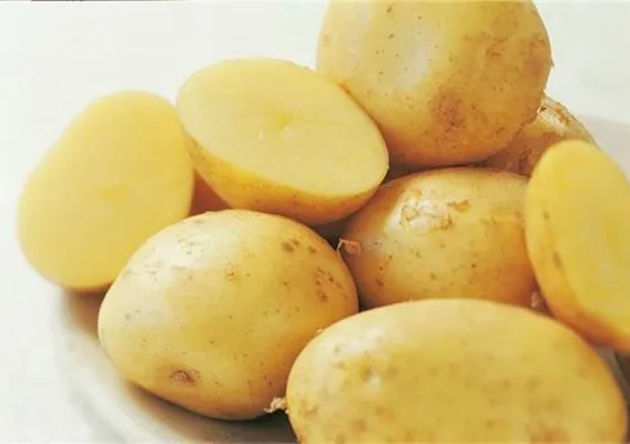 JÆRPOTET SMÅ 35-42MM JÆRPOTET SMÅ 35-42MM