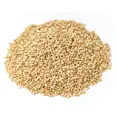 SESAMFRØ HVITE, RISTET, 1KG