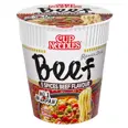 NUDLER, BIFF, KOPP 70G