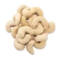CASHEWNØTTER RÅ 22,7KG
