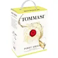 TOMMASI PINOT GRIGIO 12% 3L